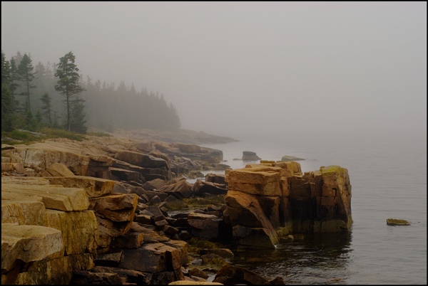 Rocky Shore