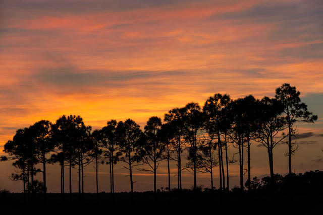 Sunset,Turner River Rd