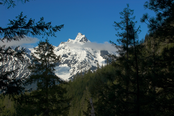 View from Coon Lake Trail