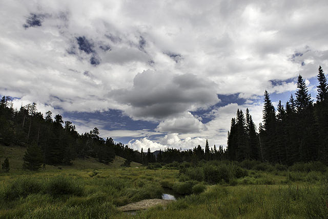 Former Beaver Pond