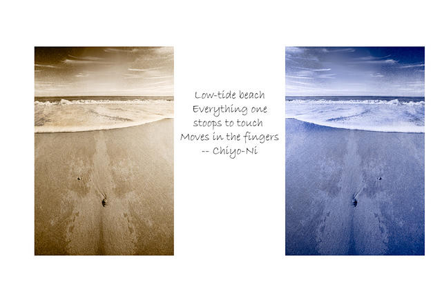 Low Tide Beach