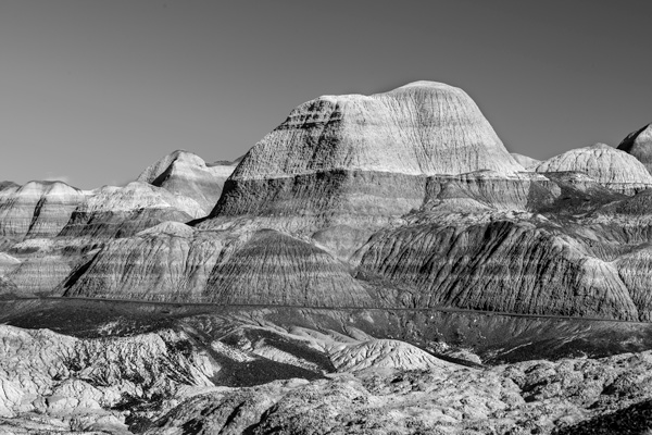 Blue Mesa Trail