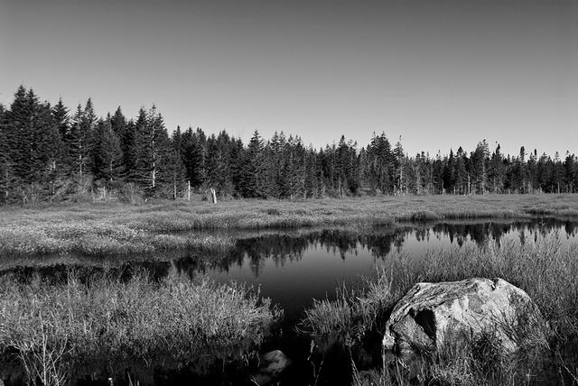 Petite Manan National Wildlife Refuge