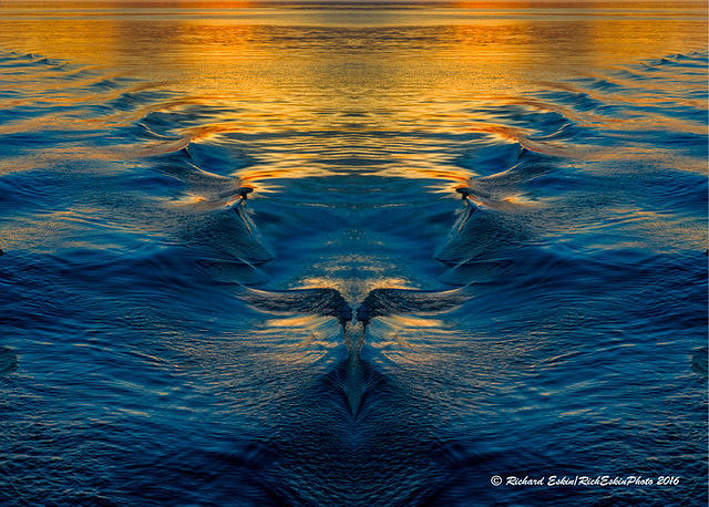 Creature in the Wake