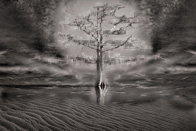 The Tree