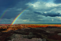 Petrified Forest National Park