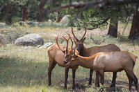 Rocky Mountain National Park