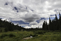 Former Beaver Pond