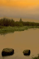 Blackwater River in the Rain