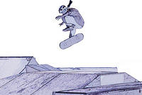 Skate Boarding